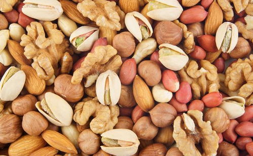 老年人生活不必過度節儉，7種高蛋白食物值得投入，健康勝過節省